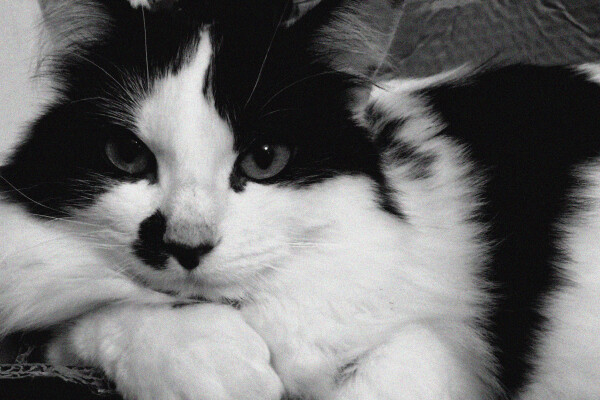 From awareness days to brand awareness