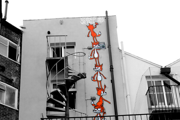 Why you need a side project