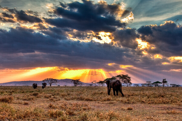 Wirehive 100 best content creation