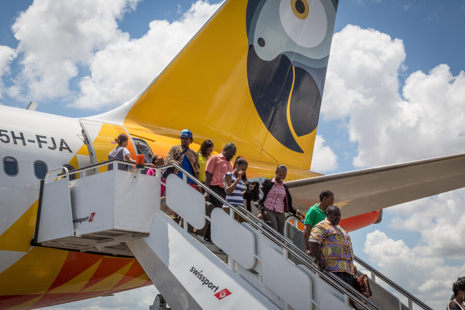 Developing trust and brand loyalty